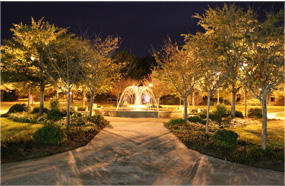 批发价格实惠的网站ddos